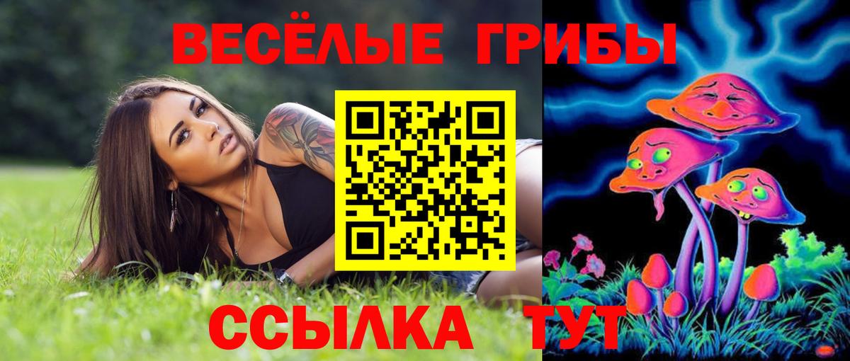 Галлюциногенные грибы ЛСД Добрянка